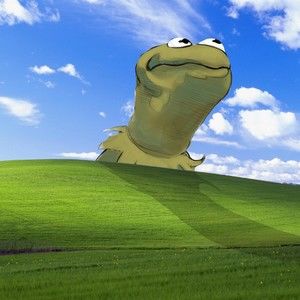 Meet your Posher, Ethan